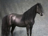 Mr.Z MRZ056 1/6 Animal Model No. 56 Thoroughbreds (BLACK MRZ56-5)