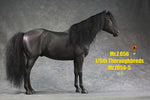 Mr.Z MRZ056 1/6 Animal Model No. 56 Thoroughbreds (BLACK MRZ56-5)