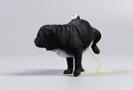 JXK JXK069C 1/6 Leg Lift Pug