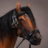 JXK Studio: JXK013 1/12th Scale Hannover Horse (Letter D, Brown)