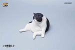 JXK 1/6 LAZY CAT 5.0 JXK086A, B, C, D, E