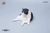 JXK 1/6 LAZY CAT 5.0 JXK086A, B, C, D, E