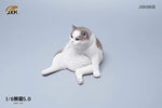 JXK 1/6 LAZY CAT 5.0 JXK086A, B, C, D, E