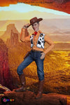 PLAY TOY P015 1/6 Happy Cowboy (WOODY)