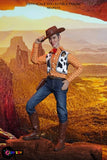 PLAY TOY P015 1/6 Happy Cowboy (WOODY)