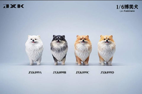 JXK 1/6 Pomeranian JXK099ABCD