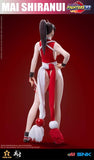TUNSHI STUDIO 1/6 THE KING OF FIGHTERS '97 MAI SHIRANUI TS-XZZ-002