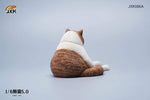 JXK 1/6 LAZY CAT 5.0 JXK086A, B, C, D, E