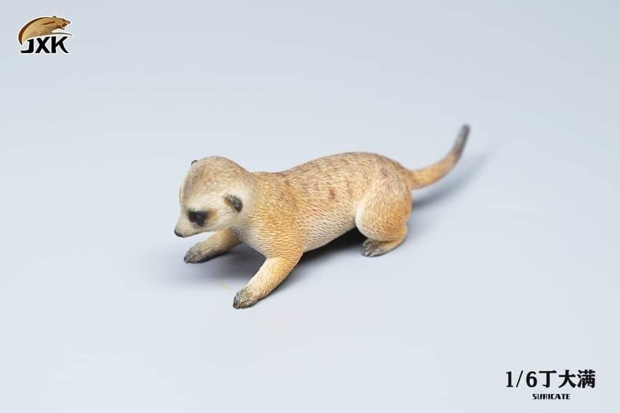 Amazon｜Llxhg ハクナマタタ水彩プリントウォールアートプンバア
