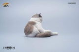 JXK 1/6 LAZY CAT 5.0 JXK086A, B, C, D, E