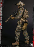 DAMTOYS 1/6 31st Marine Expeditionary Unit Force Reconnaissance Platoon (Woodland MARPAT VER) 78089