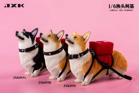 JXK 1/6 Welsh Corgi Pembroke JXK093ABC
