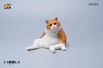 JXK 1/6 LAZY CAT 5.0 JXK086A, B, C, D, E