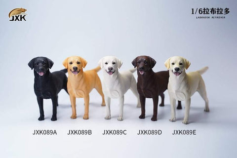 JXK 1/6 Labrador JXK089A, B, C, D, E