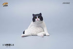 JXK 1/6 LAZY CAT 5.0 JXK086A, B, C, D, E