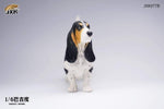 JXK JXK077ABC 1/6th Basset Hound