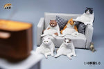 JXK 1/6 LAZY CAT 5.0 JXK086A, B, C, D, E