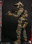 DAMTOYS 1/6 31st Marine Expeditionary Unit Force Reconnaissance Platoon (Woodland MARPAT VER) 78089