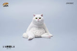 JXK 1/6 LAZY CAT 5.0 JXK086A, B, C, D, E