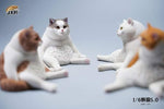 JXK 1/6 LAZY CAT 5.0 JXK086A, B, C, D, E