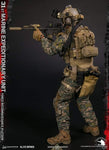 DAMTOYS 1/6 31st Marine Expeditionary Unit Force Reconnaissance Platoon (Woodland MARPAT VER) 78089