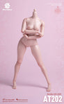 (RE ORDER) worldbox 1/6  girl body AT202