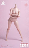 (RE ORDER) worldbox 1/6  girl body AT202