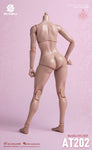 (RE ORDER) worldbox 1/6  girl body AT202