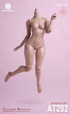 (RE ORDER) worldbox 1/6  girl body AT202
