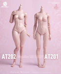 (RE ORDER) worldbox 1/6  girl body AT202