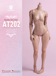 (RE ORDER) worldbox 1/6  girl body AT202