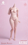 (RE ORDER) worldbox 1/6  girl body AT202