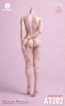 (RE ORDER) worldbox 1/6  girl body AT202