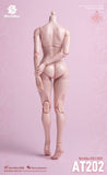 (RE ORDER) worldbox 1/6  girl body AT202