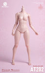 (RE ORDER) worldbox 1/6  girl body AT202