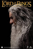 Queen Studios Inart 1/6 Lord of the Rings Gandalf Grey robe figure