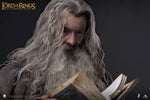 Queen Studios Inart 1/6 Lord of the Rings Gandalf Grey robe figure