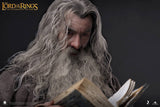 Queen Studios Inart 1/6 Lord of the Rings Gandalf Grey robe figure