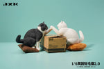 (WAITLIST) JXK 1/6 British Shorthair 2.0 JXK127ABCDE