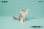 (WAITLIST) JXK 1/6 British Shorthair 2.0 JXK127ABCDE