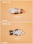 JXK small Golden retriever pup JS2208A / Husky pup JS2209AB / Labrador pup JS2210ABCD   
