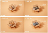 (WAITLIST) JXK small 1/6 The Cat In The Delivery Box JS2213AC  