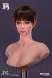 (WAITLIST) YMTOYS 1/6  YMT080ABCD 