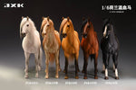 (WAITLIST) JXK 1/6 Dutch Warmblood JXK145ABCDE 