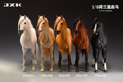 (WAITLIST) JXK 1/6 Dutch Warmblood JXK145ABCDE 