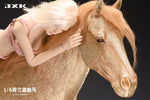 (WAITLIST) JXK 1/6 Dutch Warmblood JXK145ABCDE 